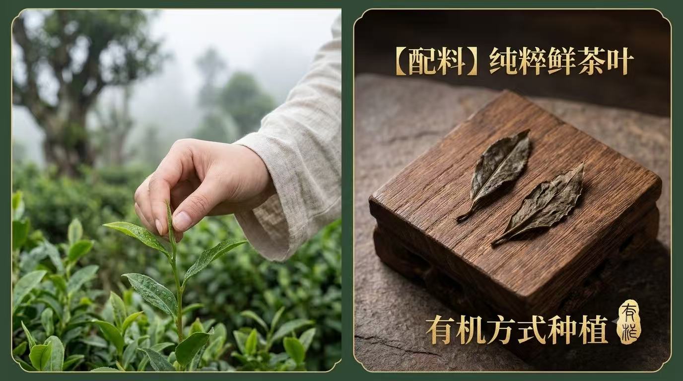 微信图片_20260708145135_325_1
